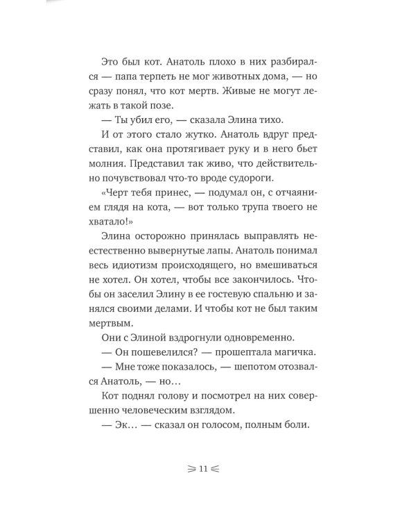 Закон сохранения кота: повесть