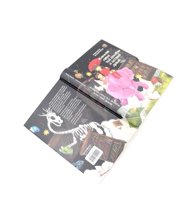 Книжная лавка под дождем. 2-е изд., испр.; "Книжная лавка под дождем" и костяной дракон (комплект из 2-х книг)