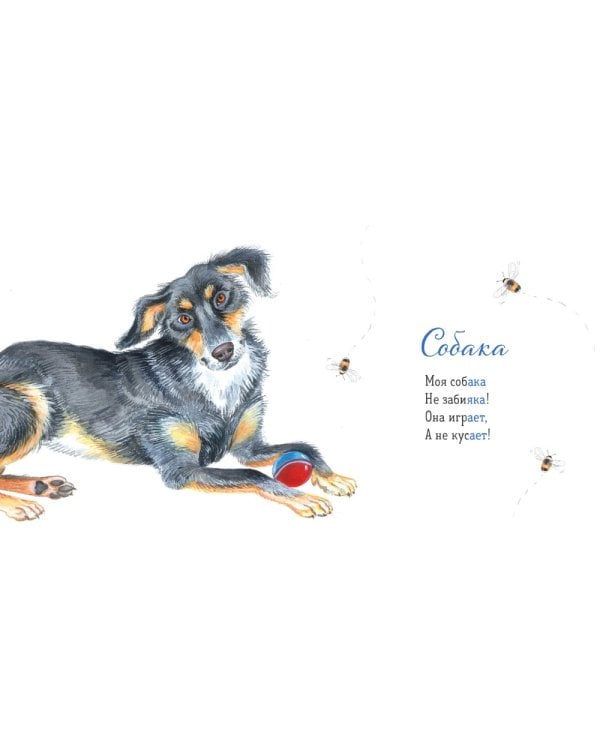 Где твой друг?