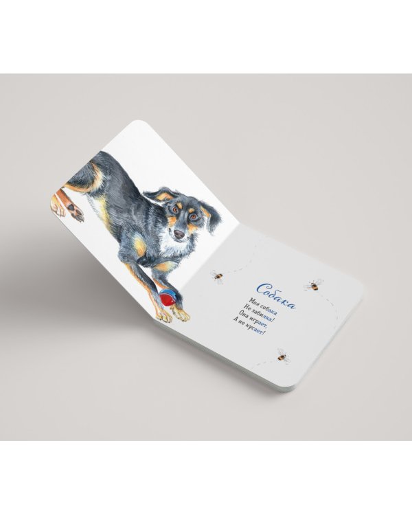 Где твой друг?