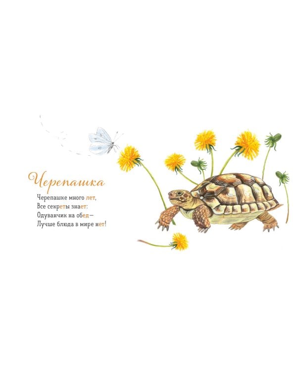 Где твой друг?