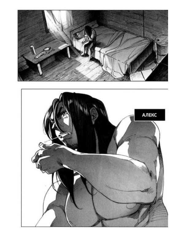 Астра. Т. 1: точка невозврата