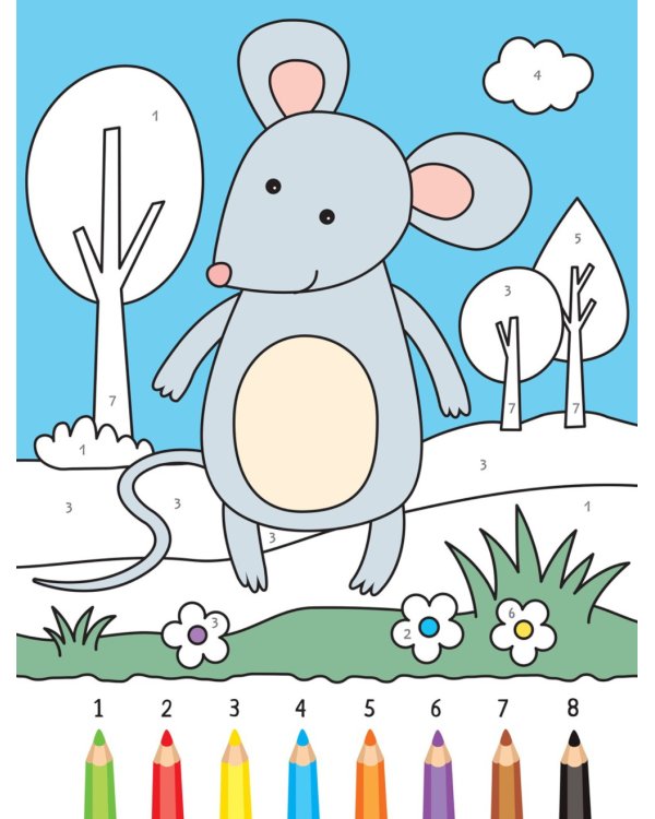 Раскрашиваем по цифрам. Набор из 4 кн