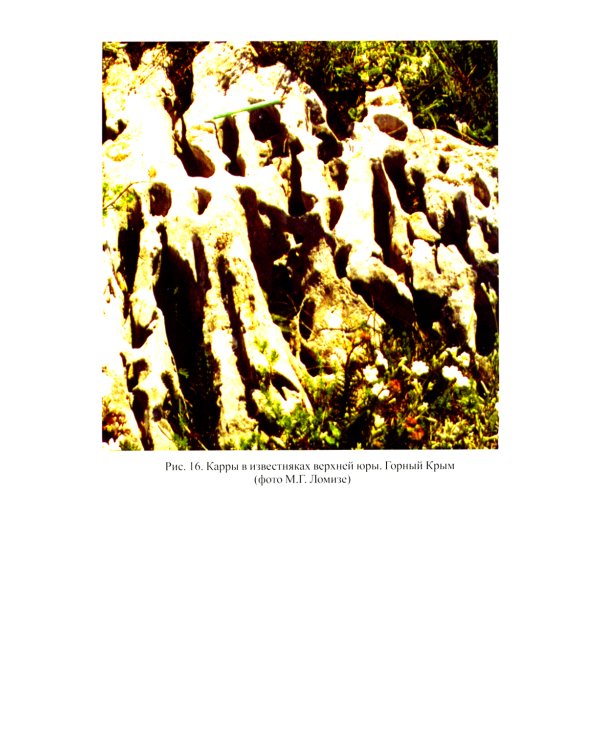 Общая геология: Учебник. 5-е изд