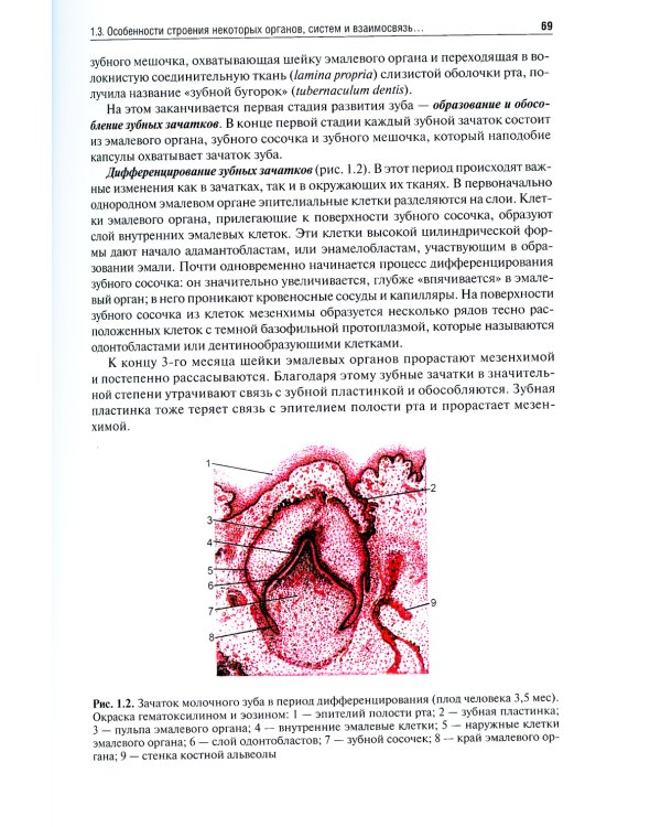 Стоматология детского возраста. В 3 ч. Ч. 1: Терапия: Учебник. 2-е изд., перераб. и доп