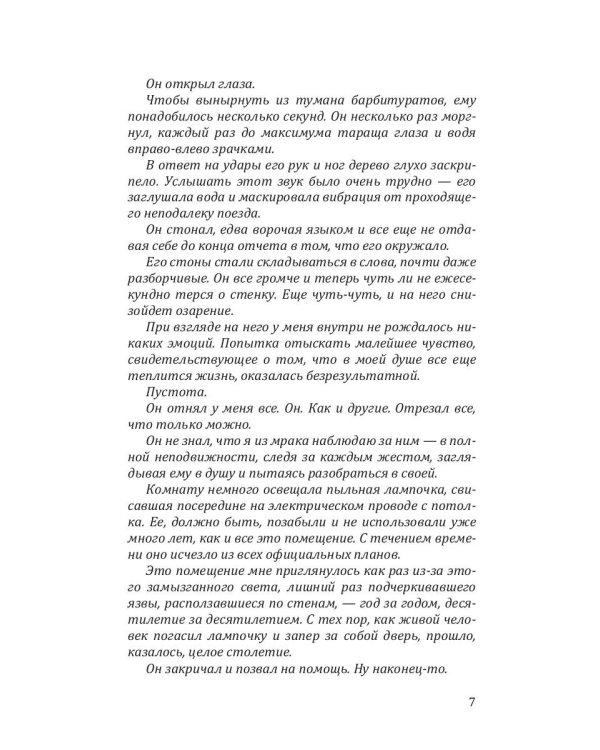 Персона: роман