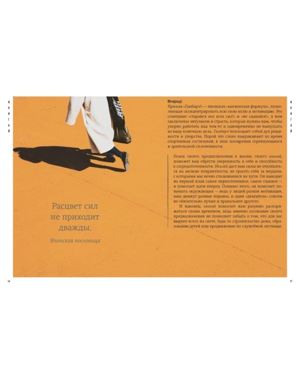 Найди свой икигай (комплект из 3 кн. с шоппером)