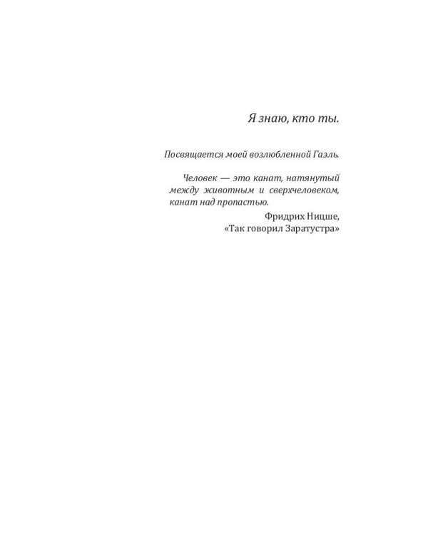 Персона: роман