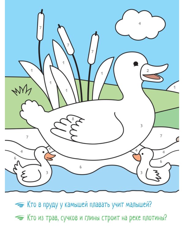 Раскрашиваем по цифрам. Набор из 4 кн