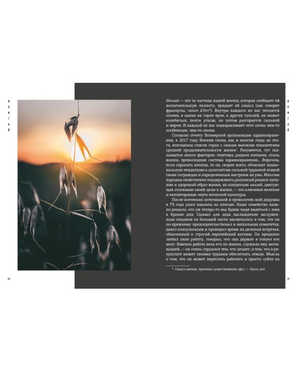 Найди свой икигай (комплект из 3 кн. с шоппером)