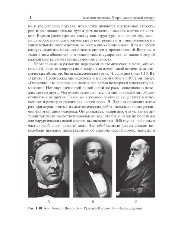 Анатомия человека. Опорно-двигательный аппарат: Учебное пособие