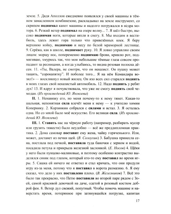 ЕГЭ 2025. 100 баллов. Русский язык: Самостоятельная подготовка к ЕГЭ