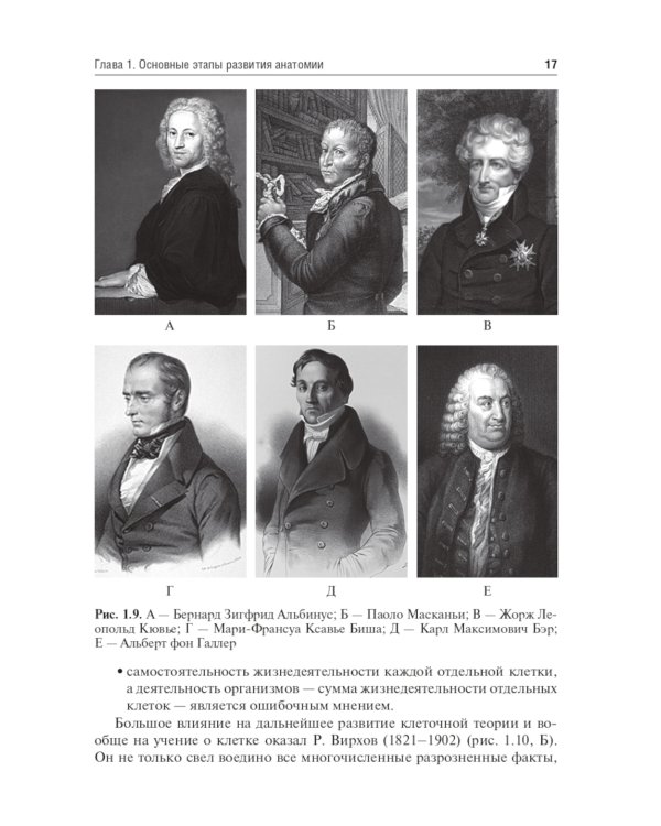 Анатомия человека. Опорно-двигательный аппарат: Учебное пособие