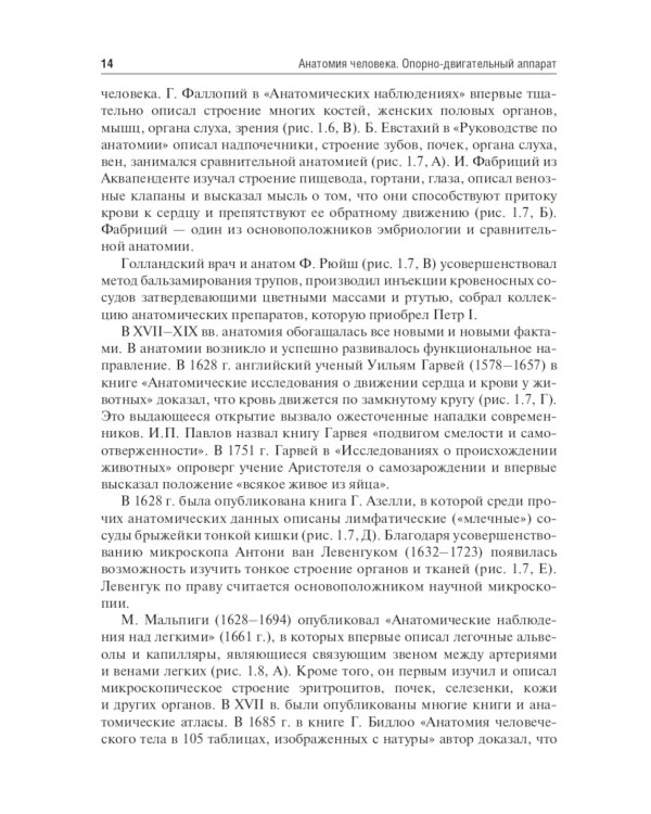 Анатомия человека. Опорно-двигательный аппарат: Учебное пособие