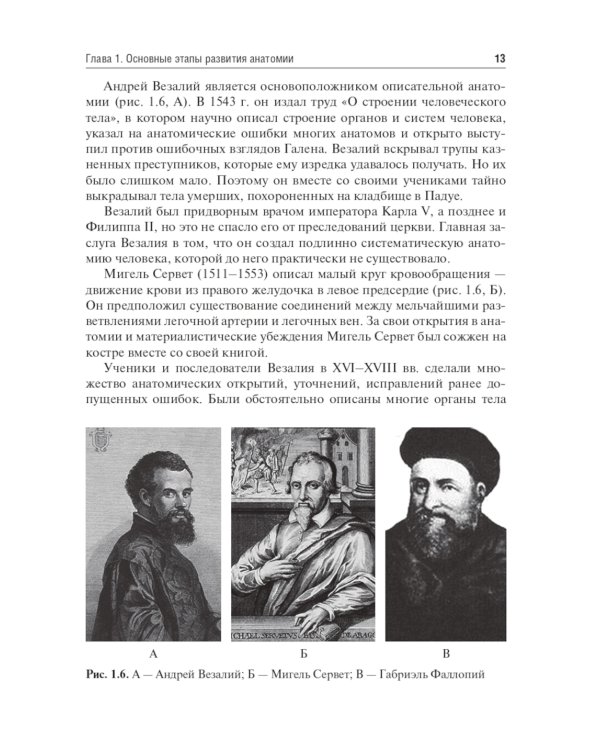 Анатомия человека. Опорно-двигательный аппарат: Учебное пособие