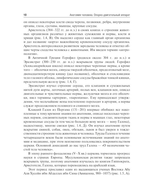 Анатомия человека. Опорно-двигательный аппарат: Учебное пособие