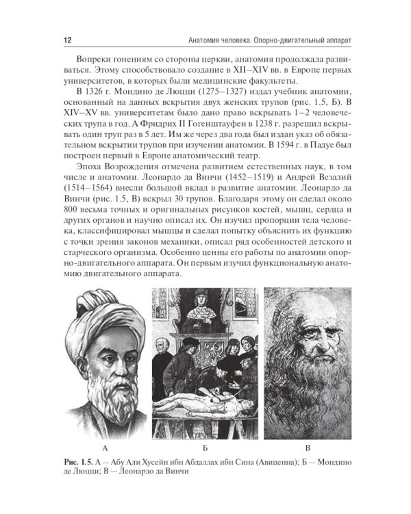 Анатомия человека. Опорно-двигательный аппарат: Учебное пособие