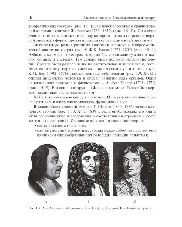 Анатомия человека. Опорно-двигательный аппарат: Учебное пособие