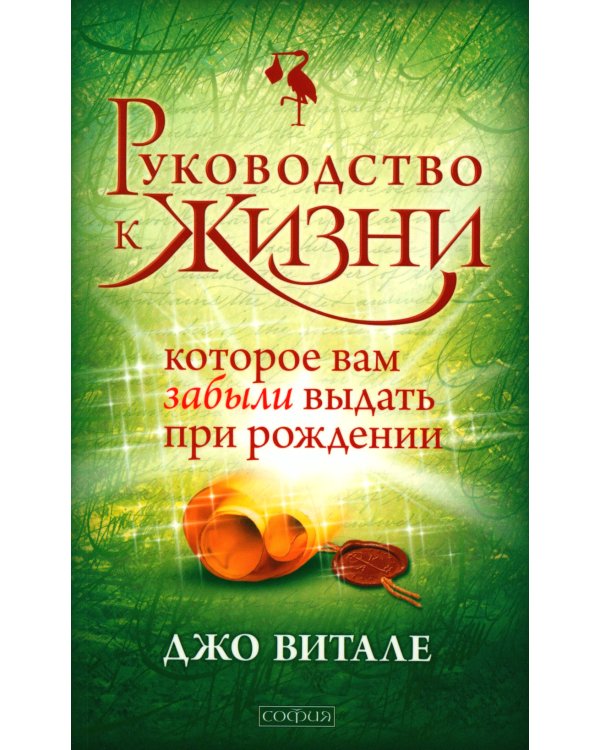 Руководство к жизни, которое вам забыли выдать при рождении (обл.)