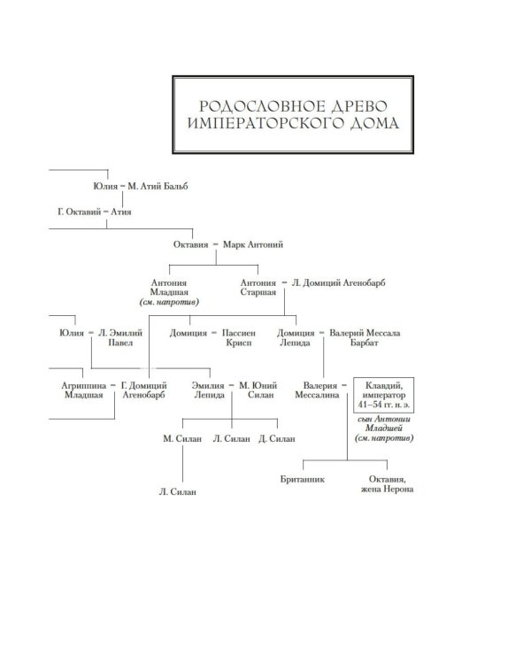 Нерон. Блеск накануне тьмы: роман