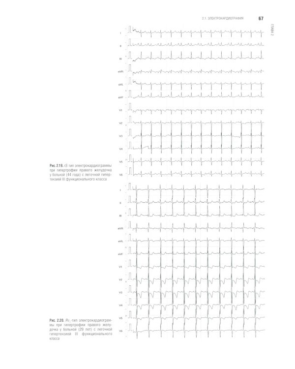 Функциональная диагностика: национальное руководство