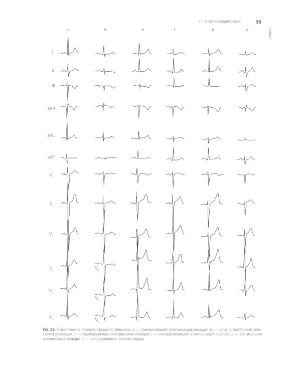 Функциональная диагностика: национальное руководство