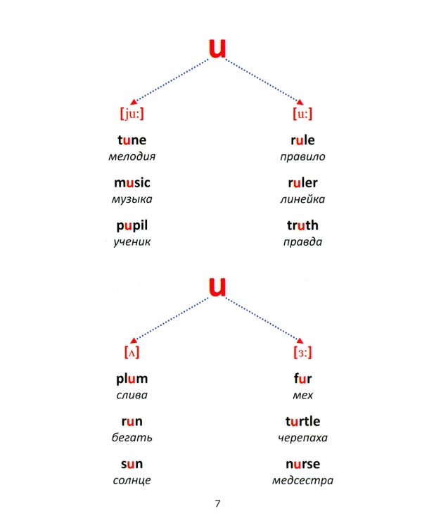 Все изучаемые правила грамматики английского языка, правила чтения и базовая лексика для младших школьников. 2-4 кл