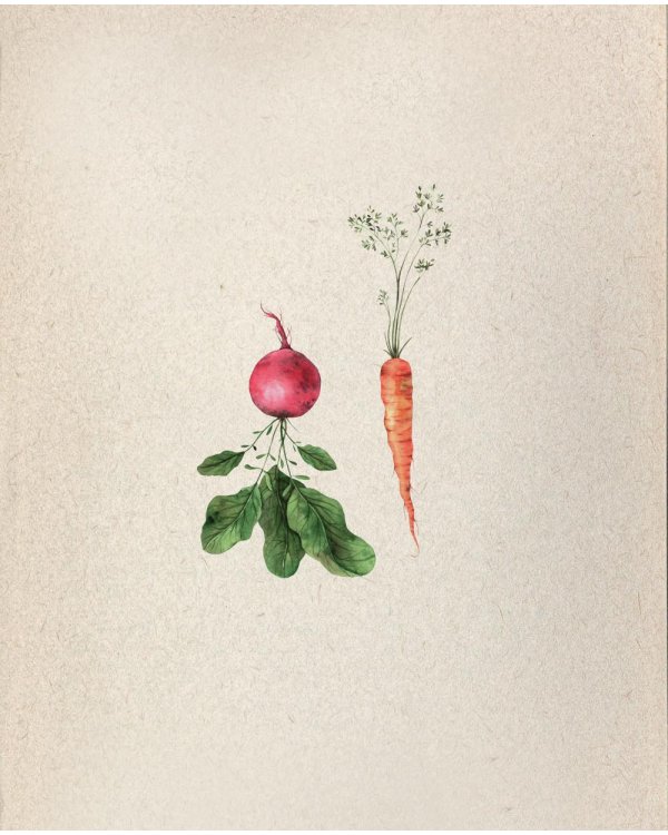 Ты поела? Согревающие рецепты круглый год