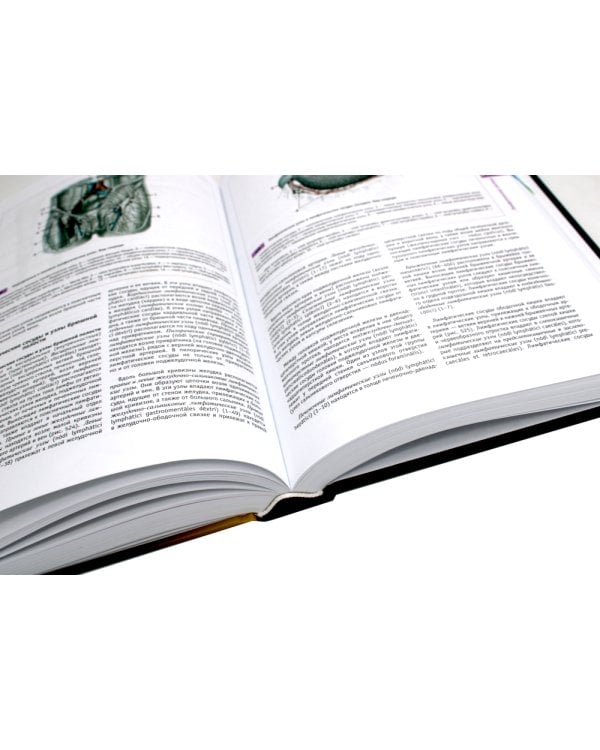 Атлас нормальной анатомии человека: Учебное пособие. 6-е изд