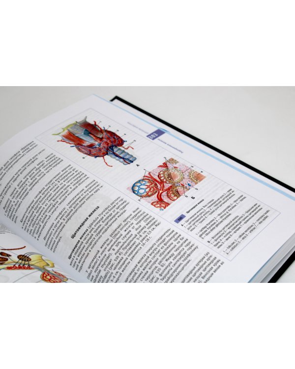 Атлас нормальной анатомии человека: Учебное пособие. 6-е изд