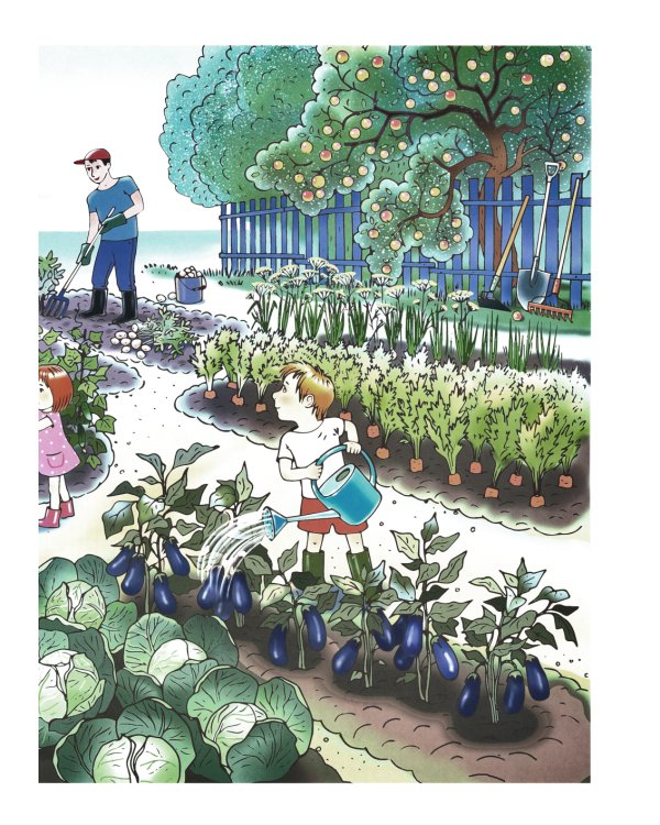 Огород. Овощи. Дидактический материал по лексической теме. 4-6 лет