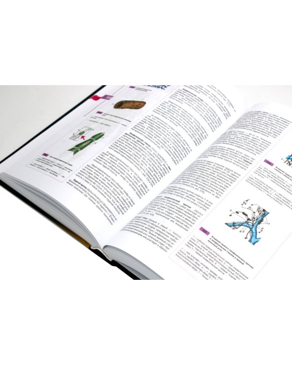 Атлас нормальной анатомии человека: Учебное пособие. 6-е изд