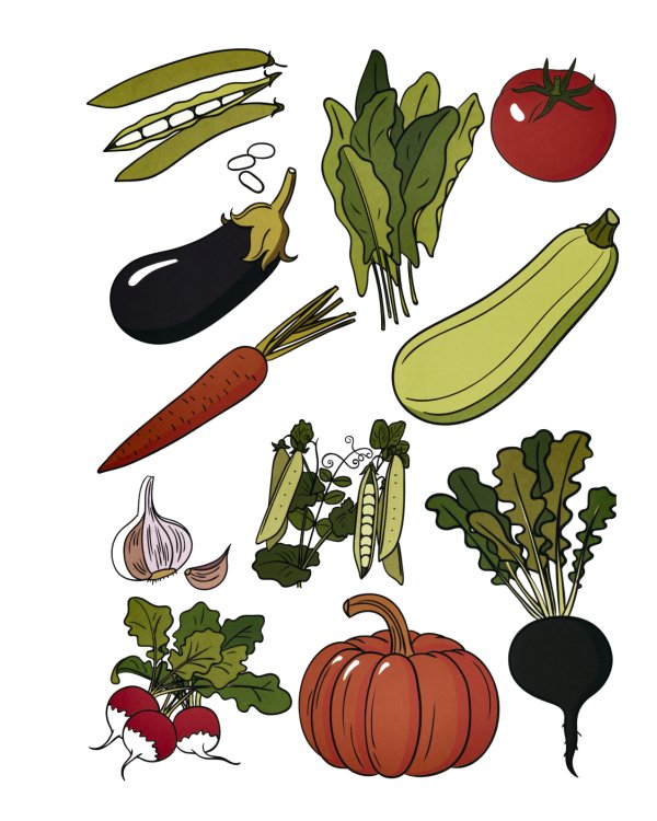 Огород. Овощи. Дидактический материал по лексической теме. 4-6 лет