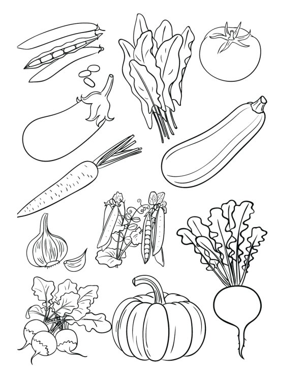 Огород. Овощи. Дидактический материал по лексической теме. 4-6 лет