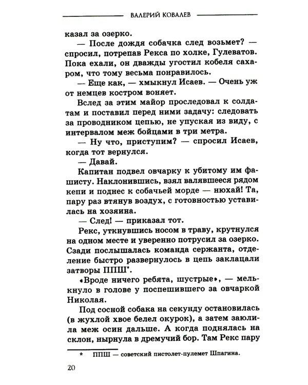 Чистильщик