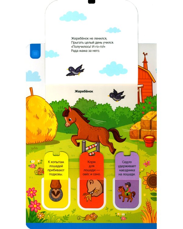 Ферма: книжка с окошками