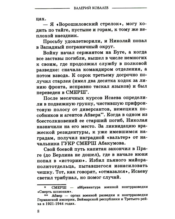 Чистильщик