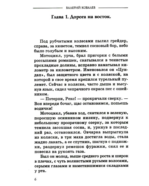 Чистильщик