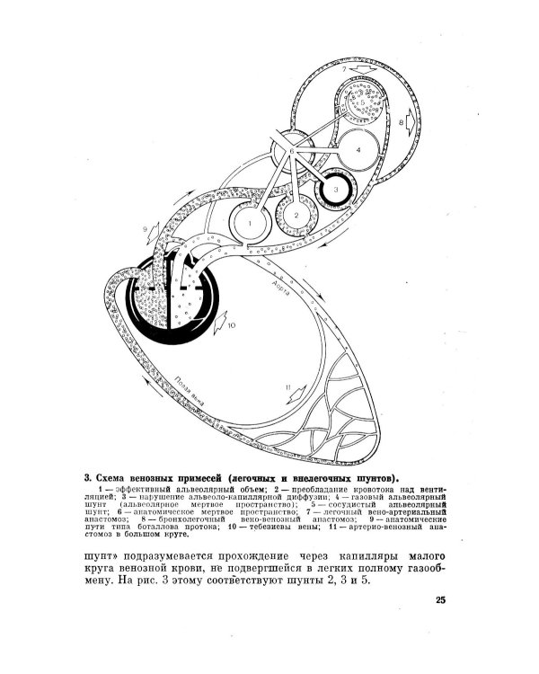 Клиническая физиология для анестезиолога. факсимильное издание. 2-е изд