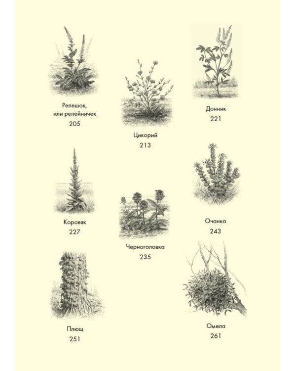 Наедине с природой (комплект из 3 кн. с шоппером)