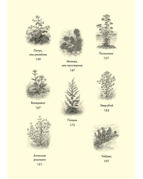 Наедине с природой (комплект из 3 кн. с шоппером)