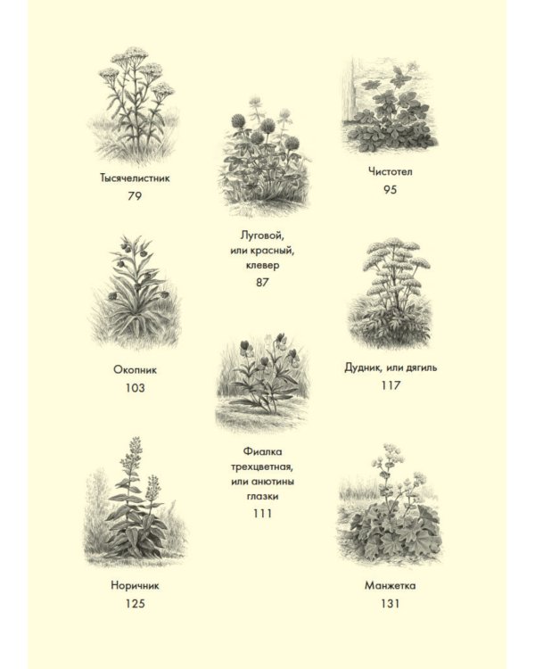 Наедине с природой (комплект из 3 кн. с шоппером)