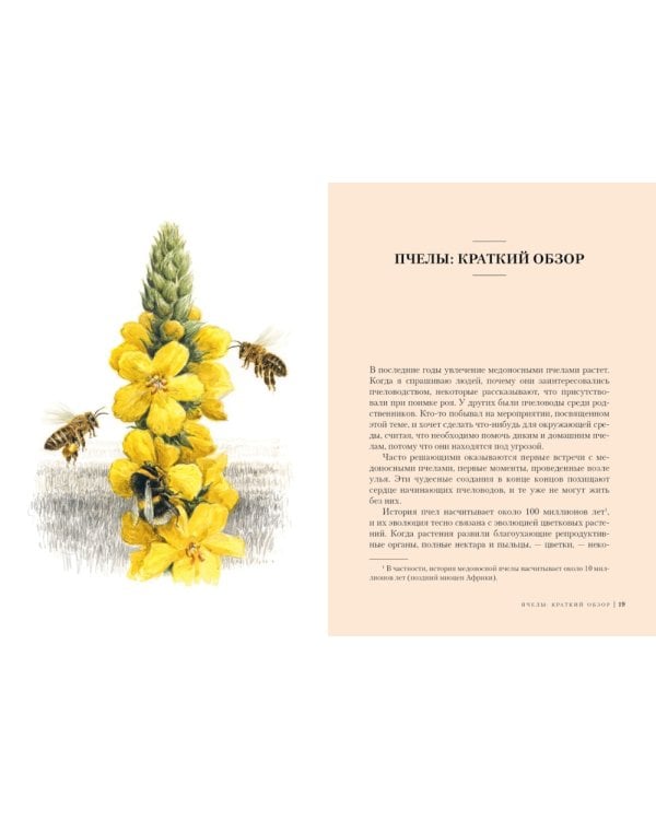 Наедине с природой (комплект из 3 кн. с шоппером)