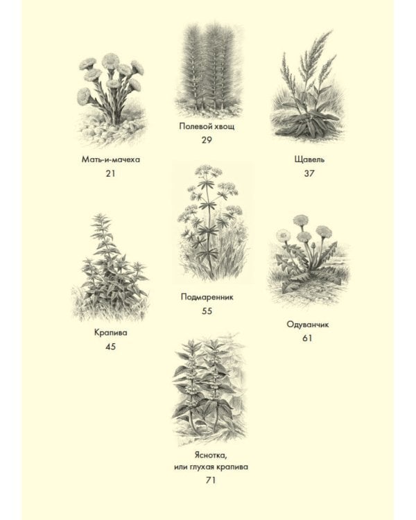 Наедине с природой (комплект из 3 кн. с шоппером)
