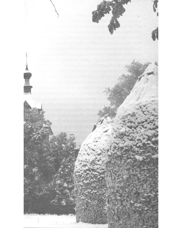 Мои Пюхтицы и приходские рассказы