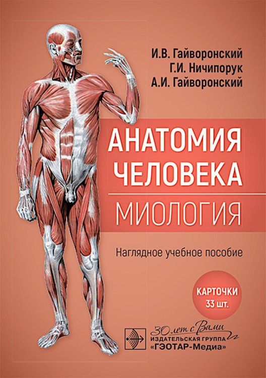 Анатомия человека. Миология. Карточки : наглядное учебное пособие