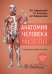Анатомия человека. Миология. Карточки : наглядное учебное пособие