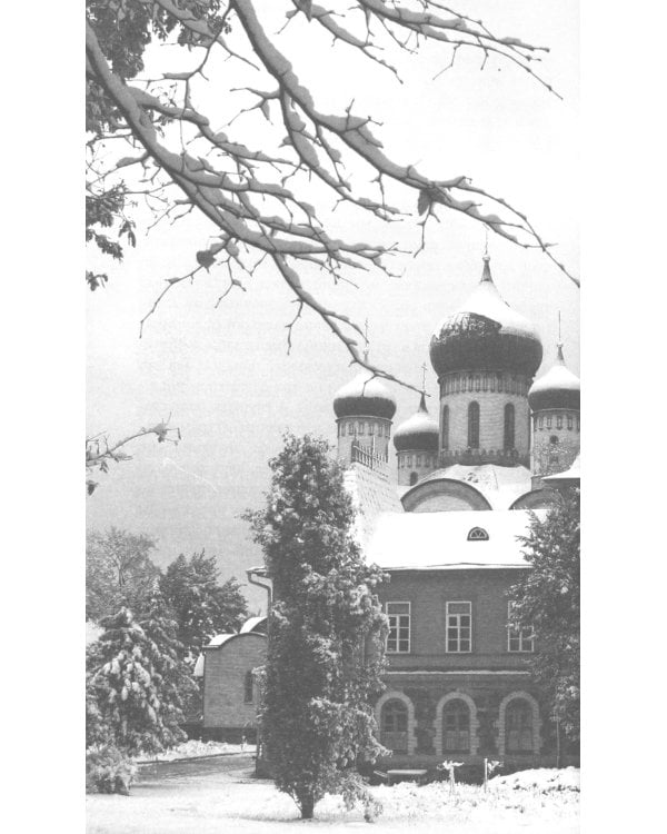 Мои Пюхтицы и приходские рассказы