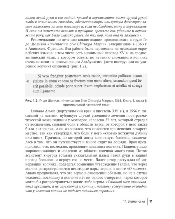 Кокцигодиния. Клиника, диагностика, лечение: руководство для врачей