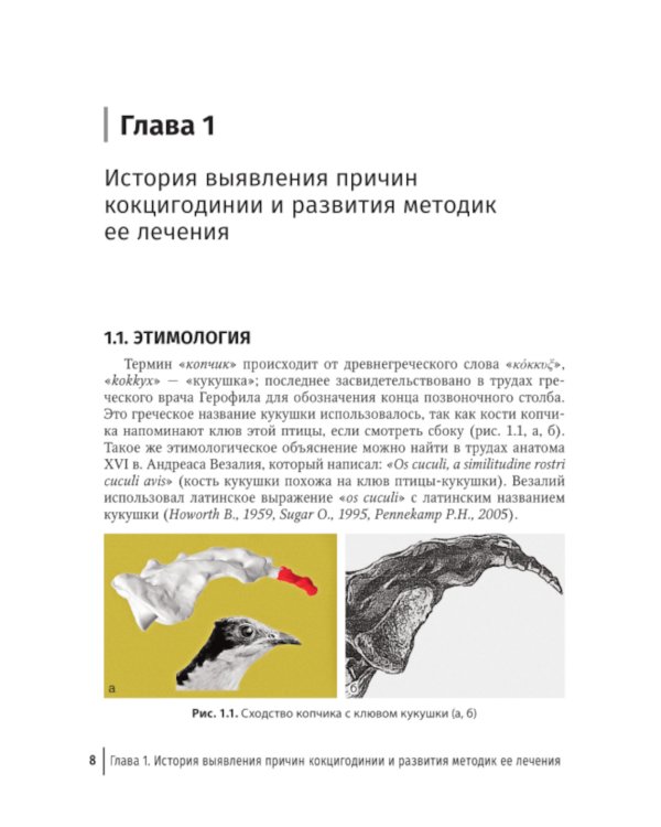 Кокцигодиния. Клиника, диагностика, лечение: руководство для врачей